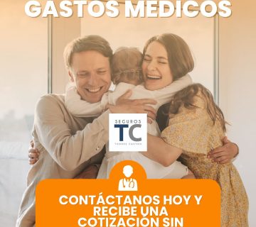 SEGUROS EN MEXICO 360x320